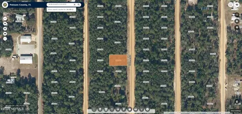 0 Neisman Avenue Interlachen FL 32148