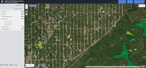 0 Neisman Avenue Interlachen FL 32148