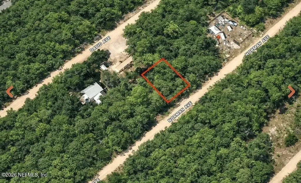 0 Norman Avenue Interlachen FL 32148