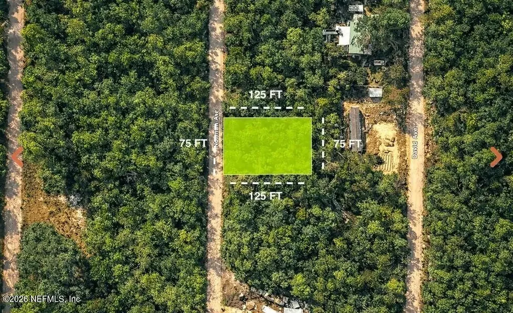 0 Norman Avenue Interlachen FL 32148