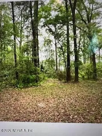 4317 Ortega Farms Circle Jacksonville FL 32210