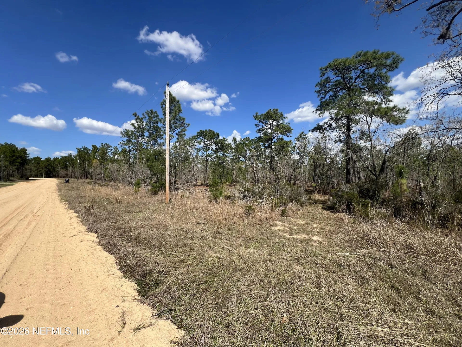 143 Quail Way Hawthorne FL 32640