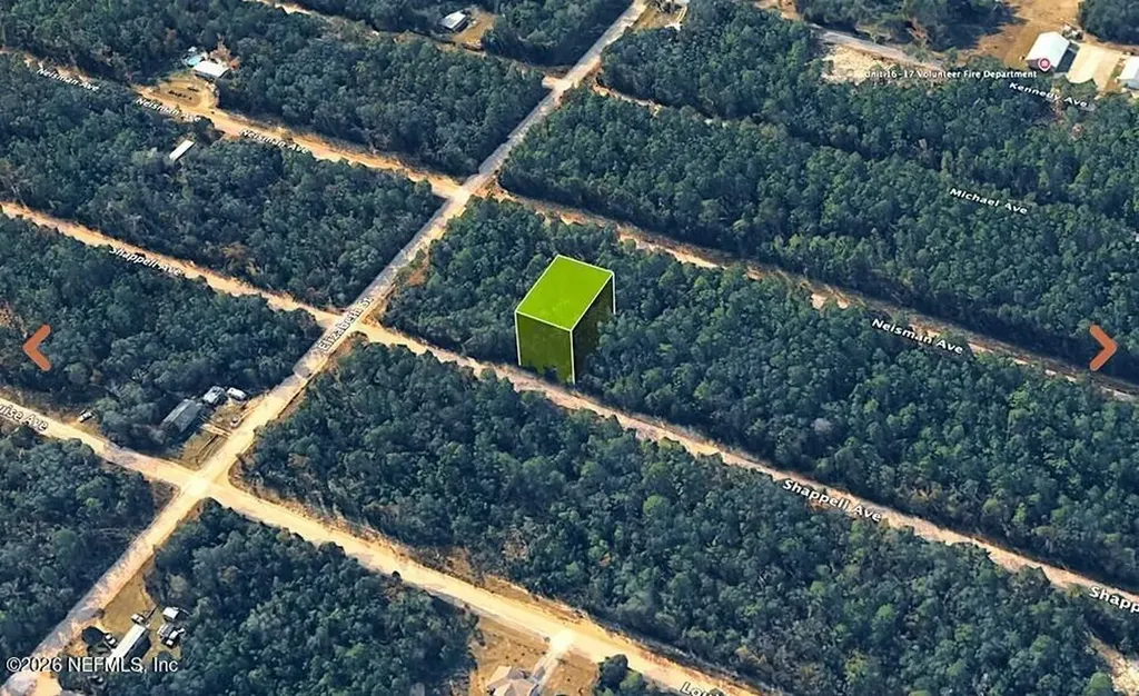 0 Shappell Avenue Interlachen FL 32148
