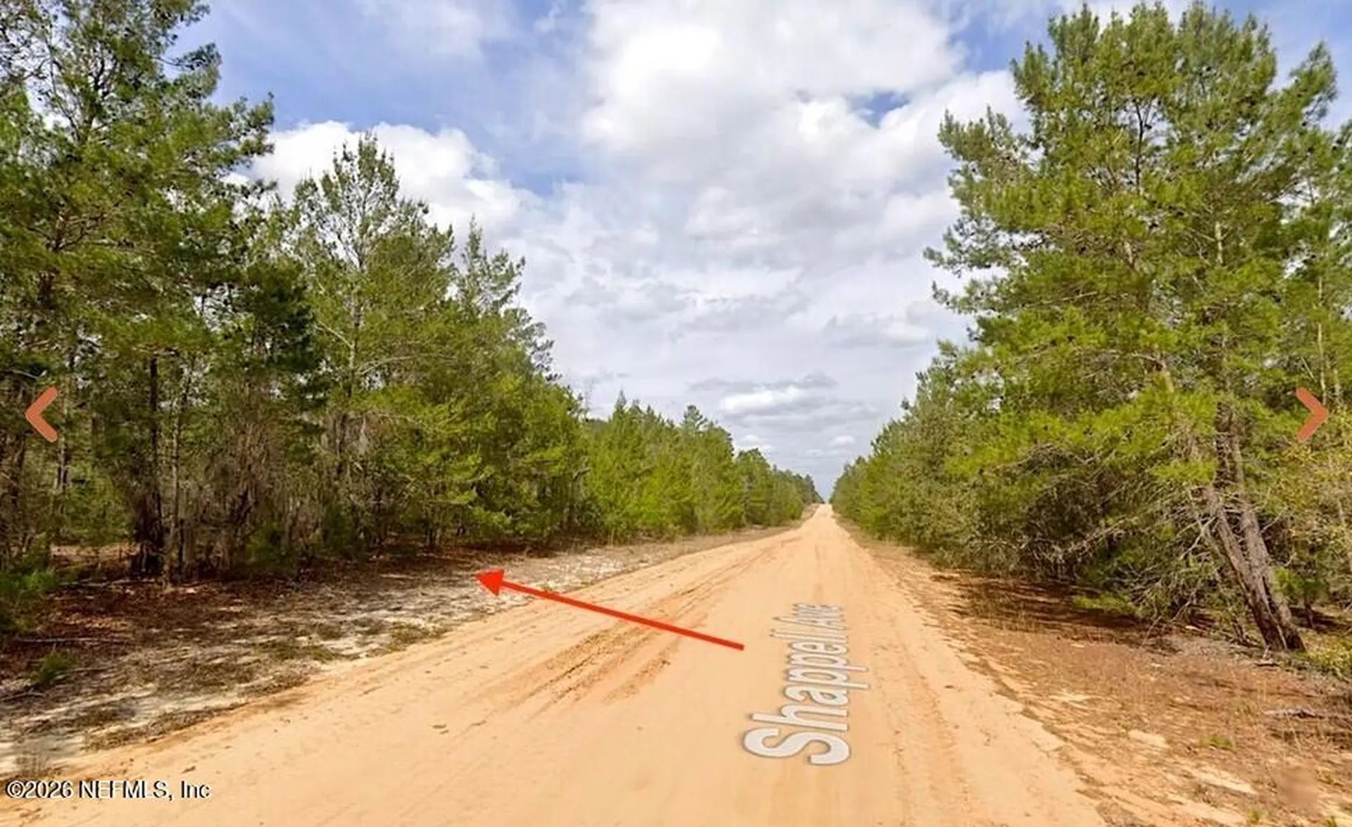 0 Shappell Avenue Interlachen FL 32148