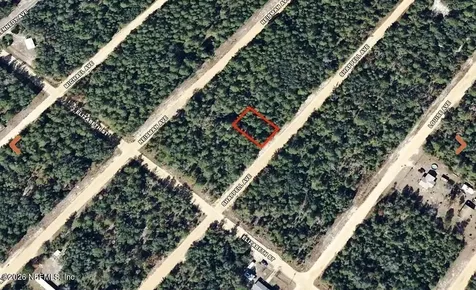 0 Shappell Avenue Interlachen FL 32148