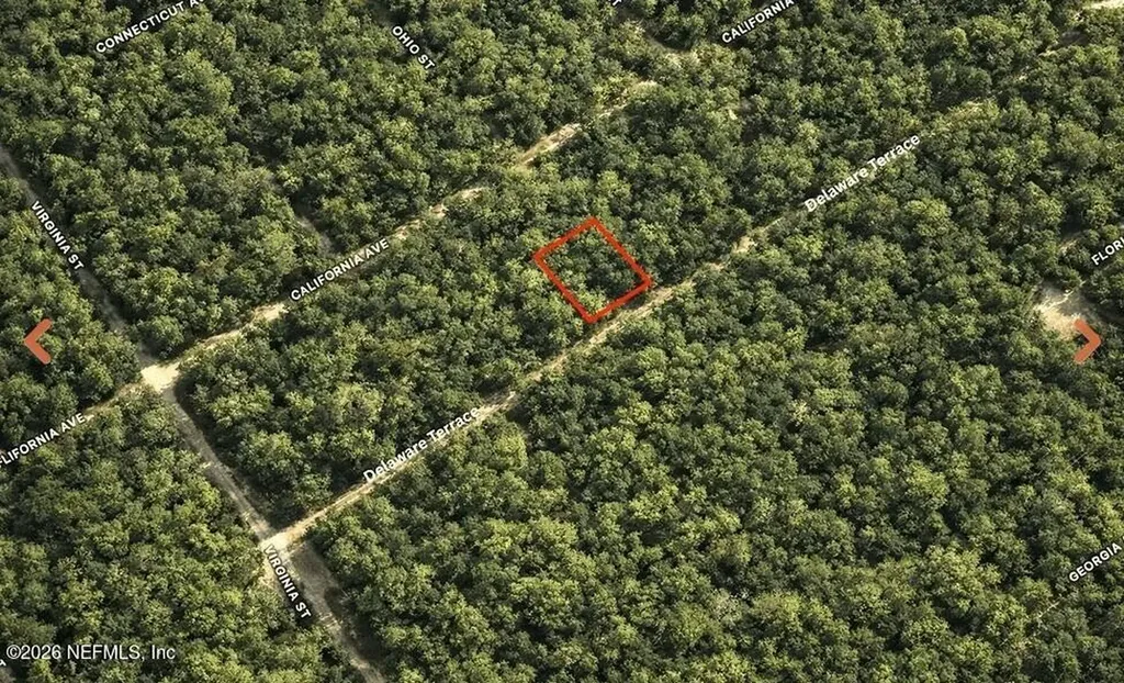 0 Delaware Terrace Interlachen FL 32148