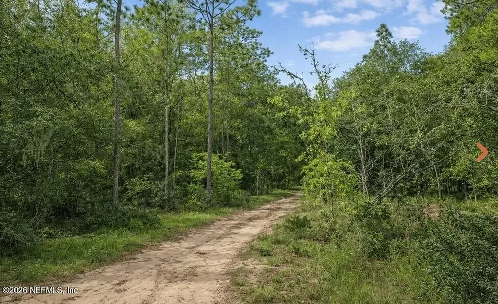 0 Delaware Terrace Interlachen FL 32148