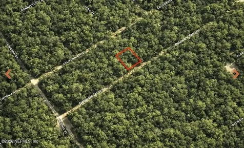 0 Delaware Terrace Interlachen FL 32148
