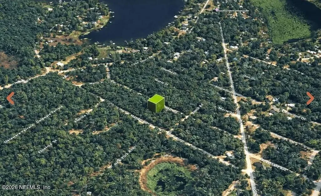 0 Nell Road Interlachen FL 32148