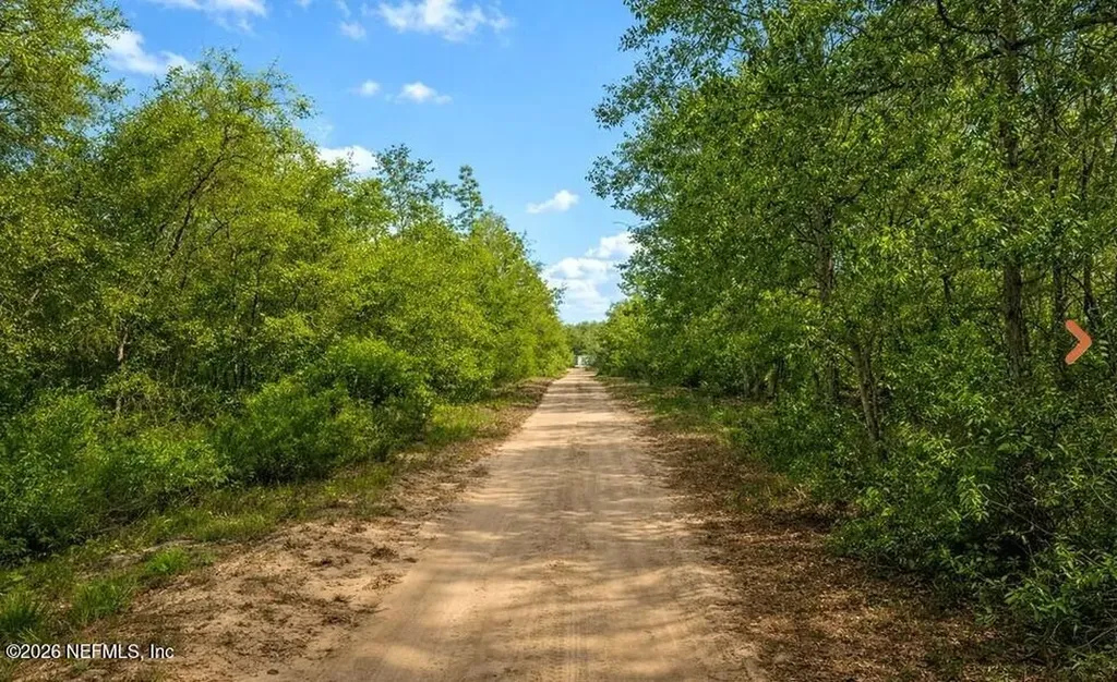 0 Nell Road Interlachen FL 32148