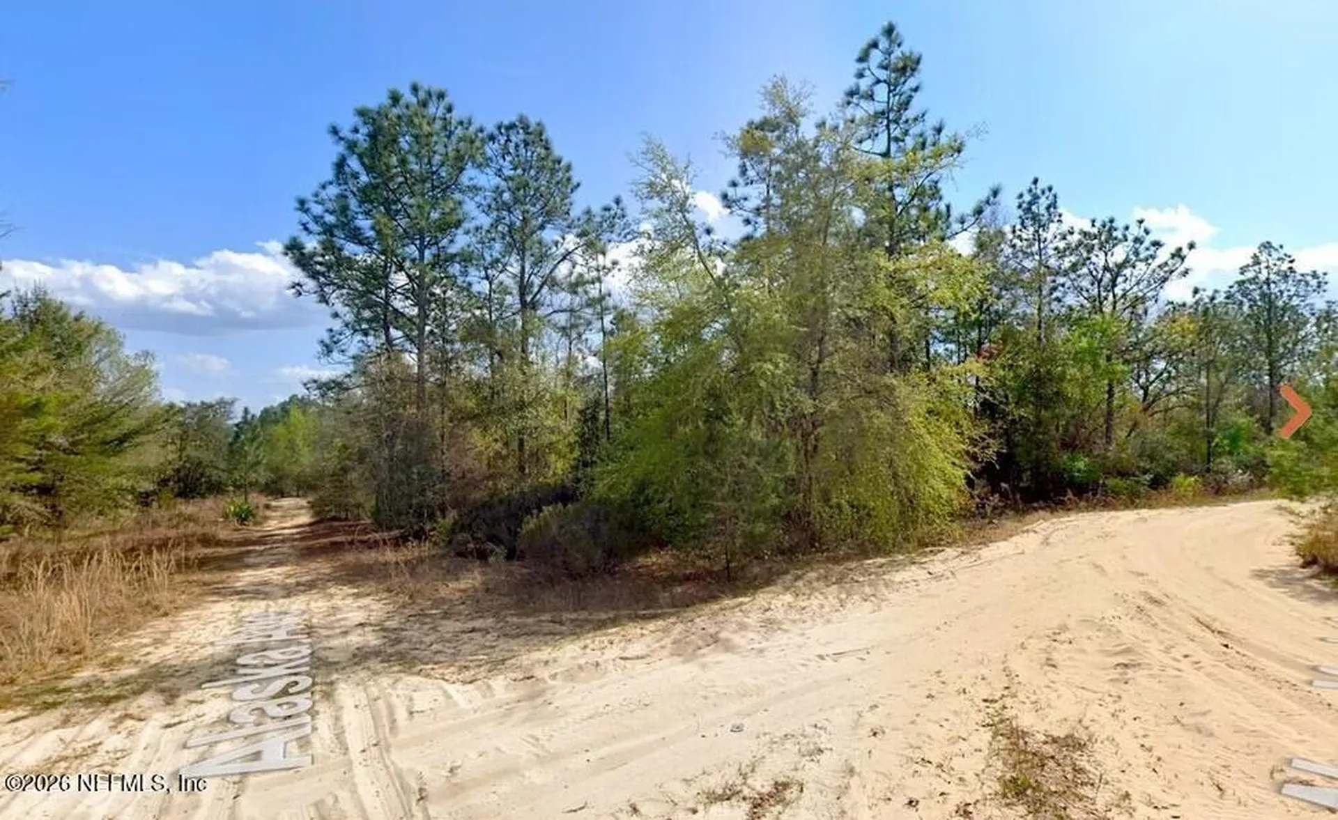 0 Alaska Avenue Interlachen FL 32148