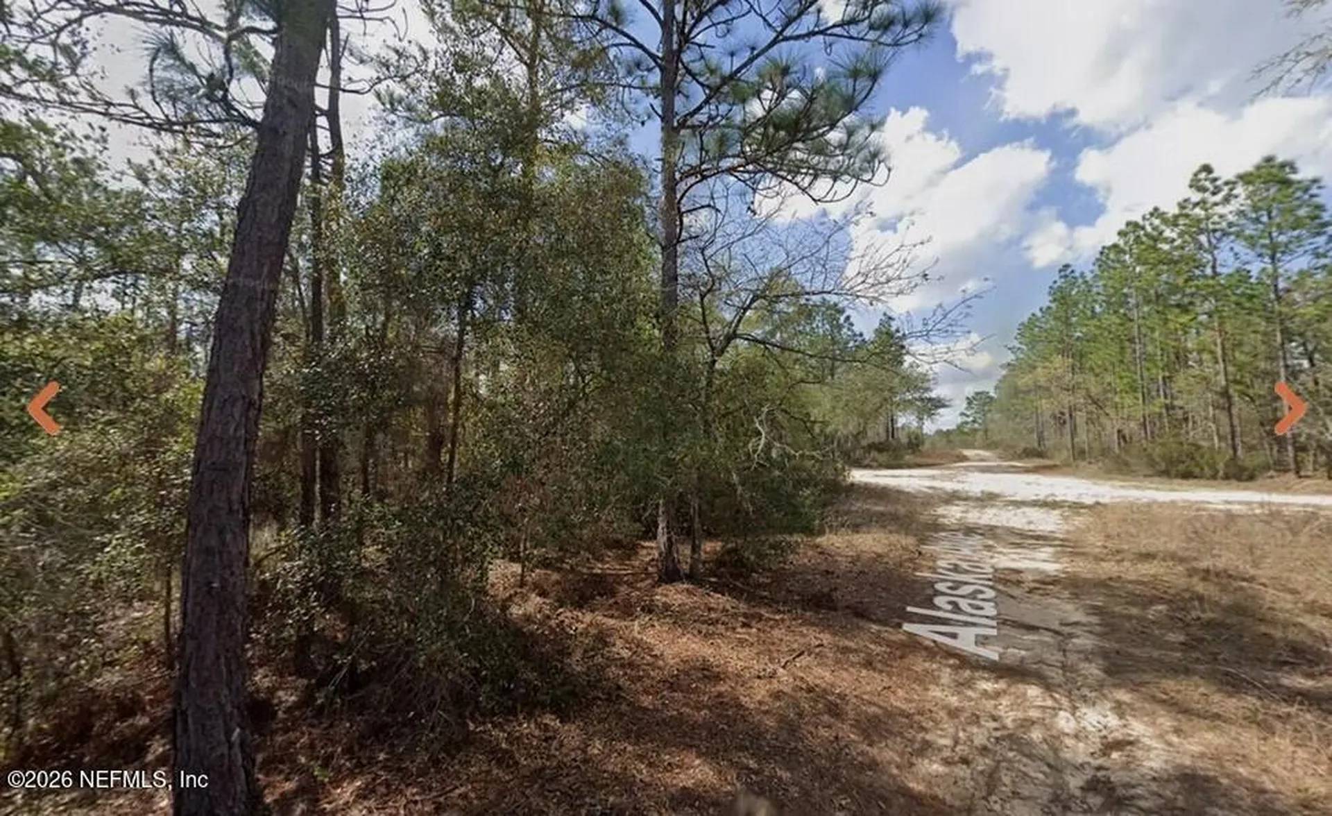 0 Alaska Avenue Interlachen FL 32148