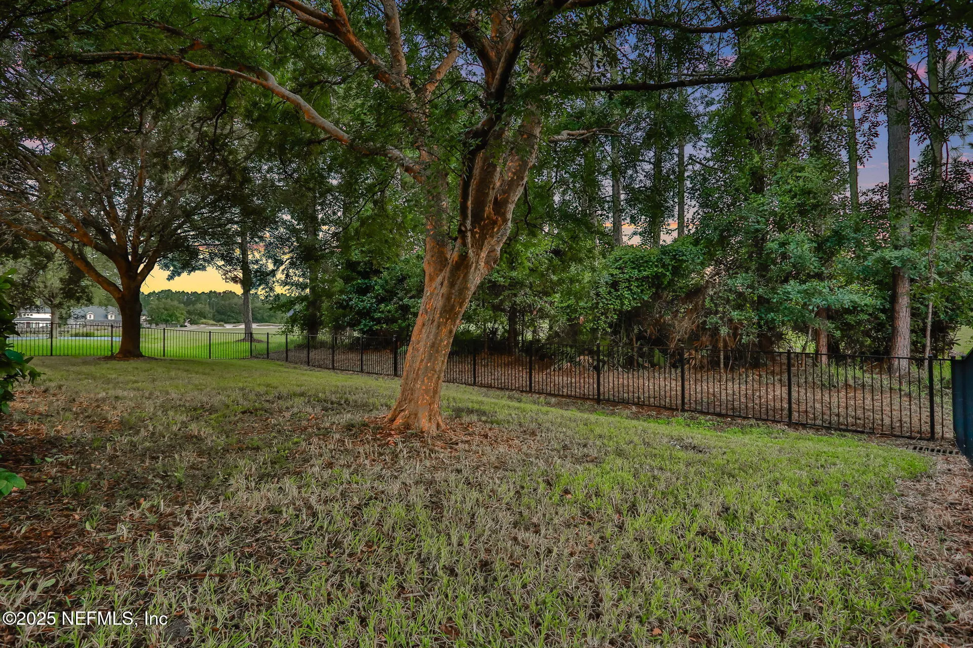 1799 Wild Dunes Circle Orange Park FL 32065