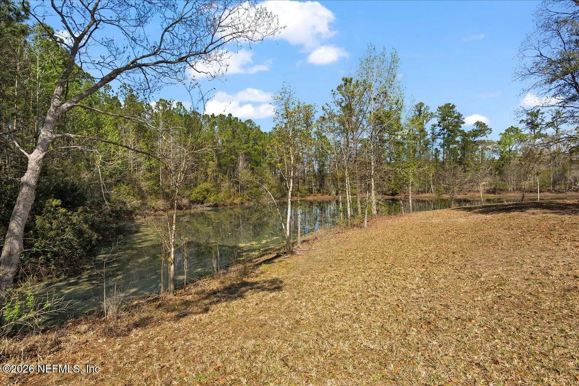 10545 S Flora Springs Road Jacksonville FL 32219