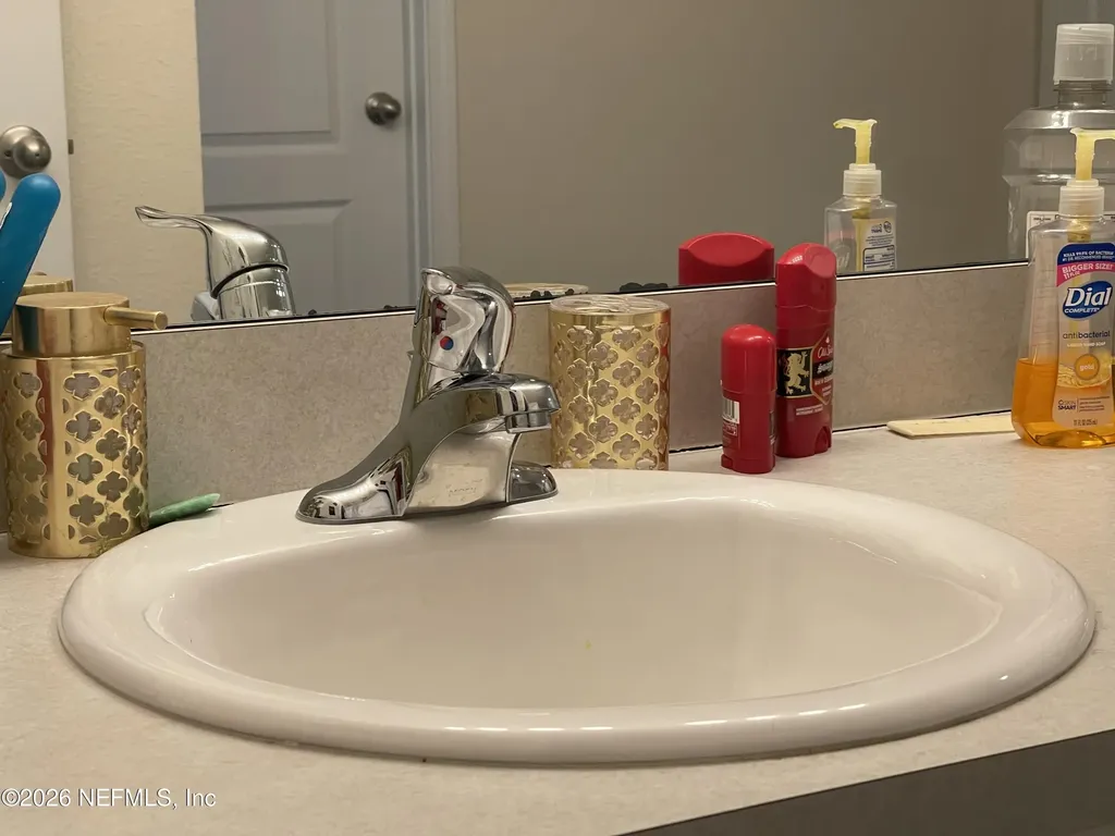 2587 Oak Stream Drive Green Cove Springs FL 32043