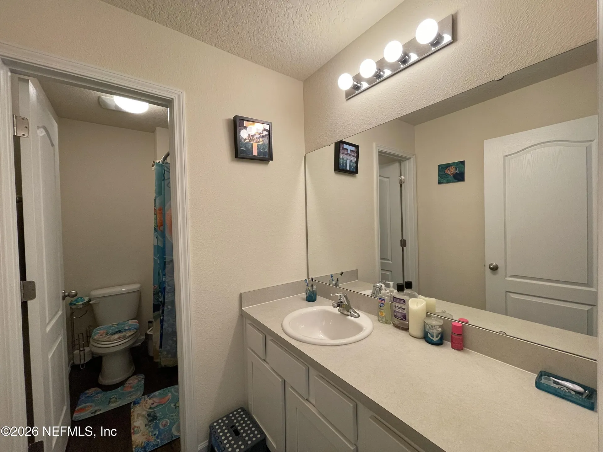 2587 Oak Stream Drive Green Cove Springs FL 32043