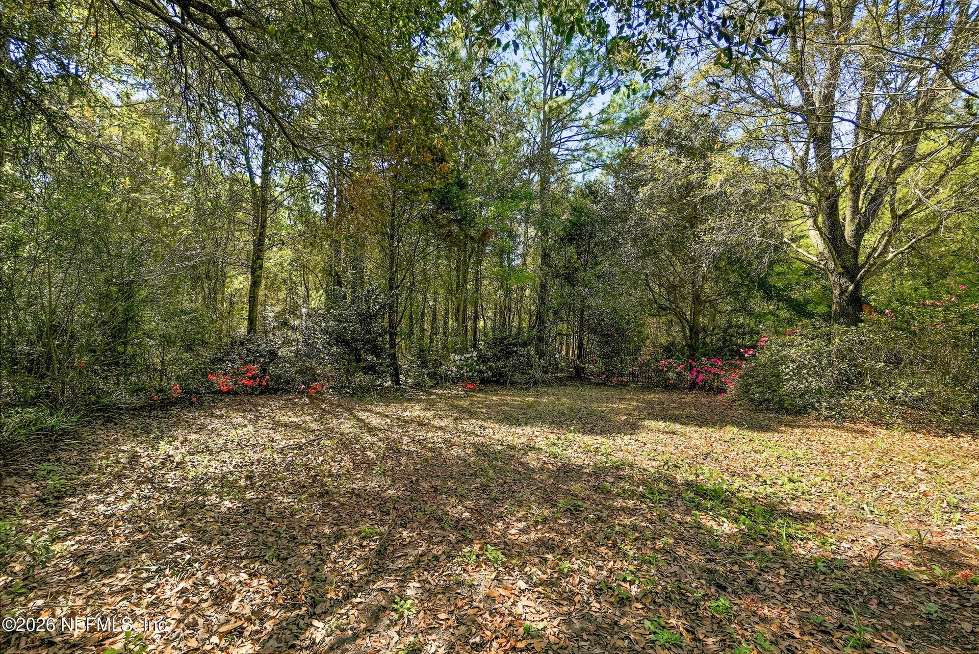 3933 Victoria Lakes Drive S Jacksonville FL 32226
