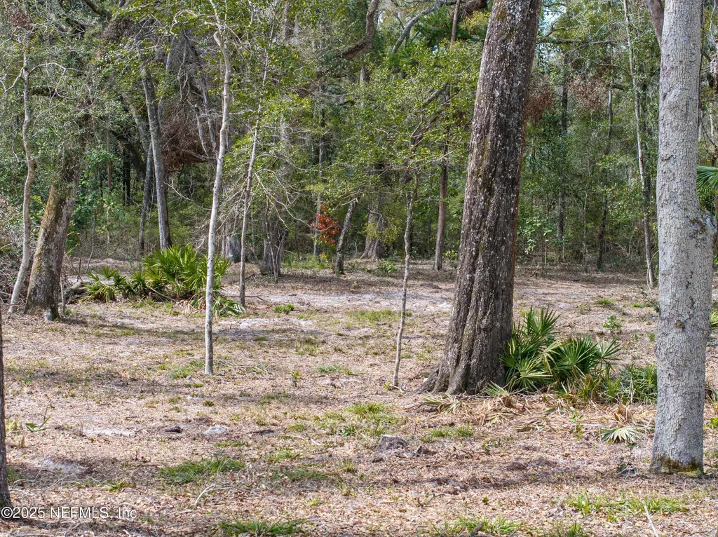 0 65th Place A Branford FL 32008