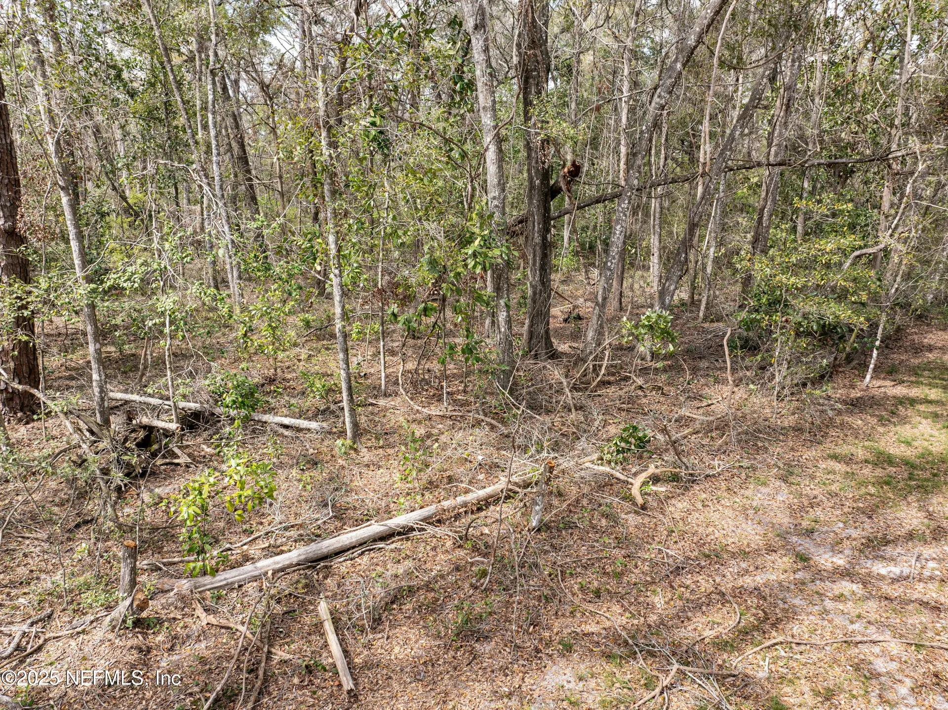 0 65th Place A Branford FL 32008