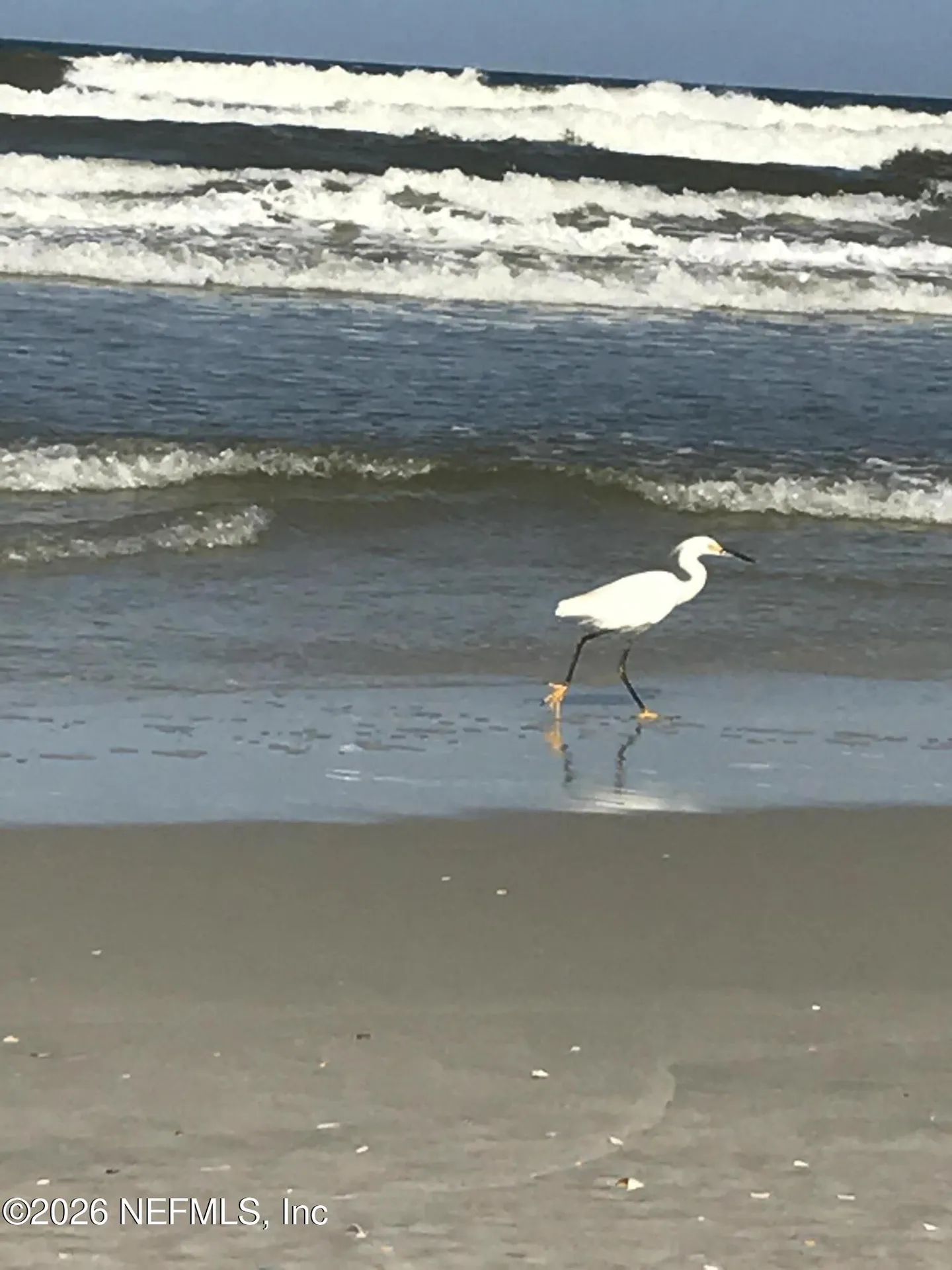 600 Cinnamon Beach Way Palm Coast FL 32137