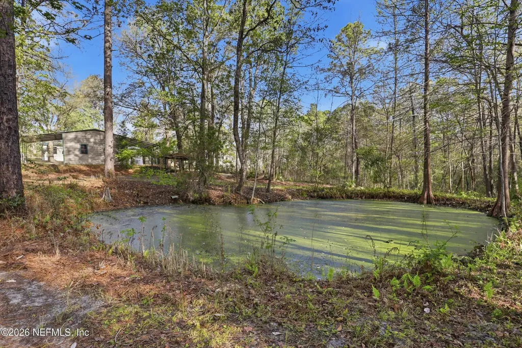 157 Plankton Avenue Middleburg FL 32068