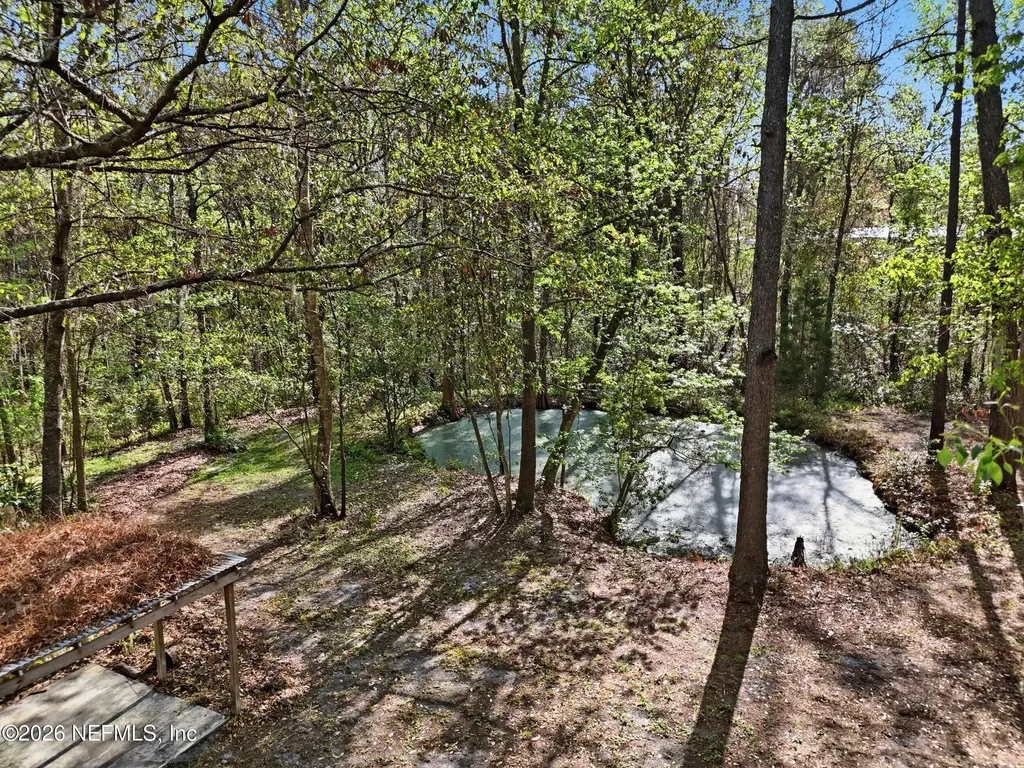 157 Plankton Avenue Middleburg FL 32068