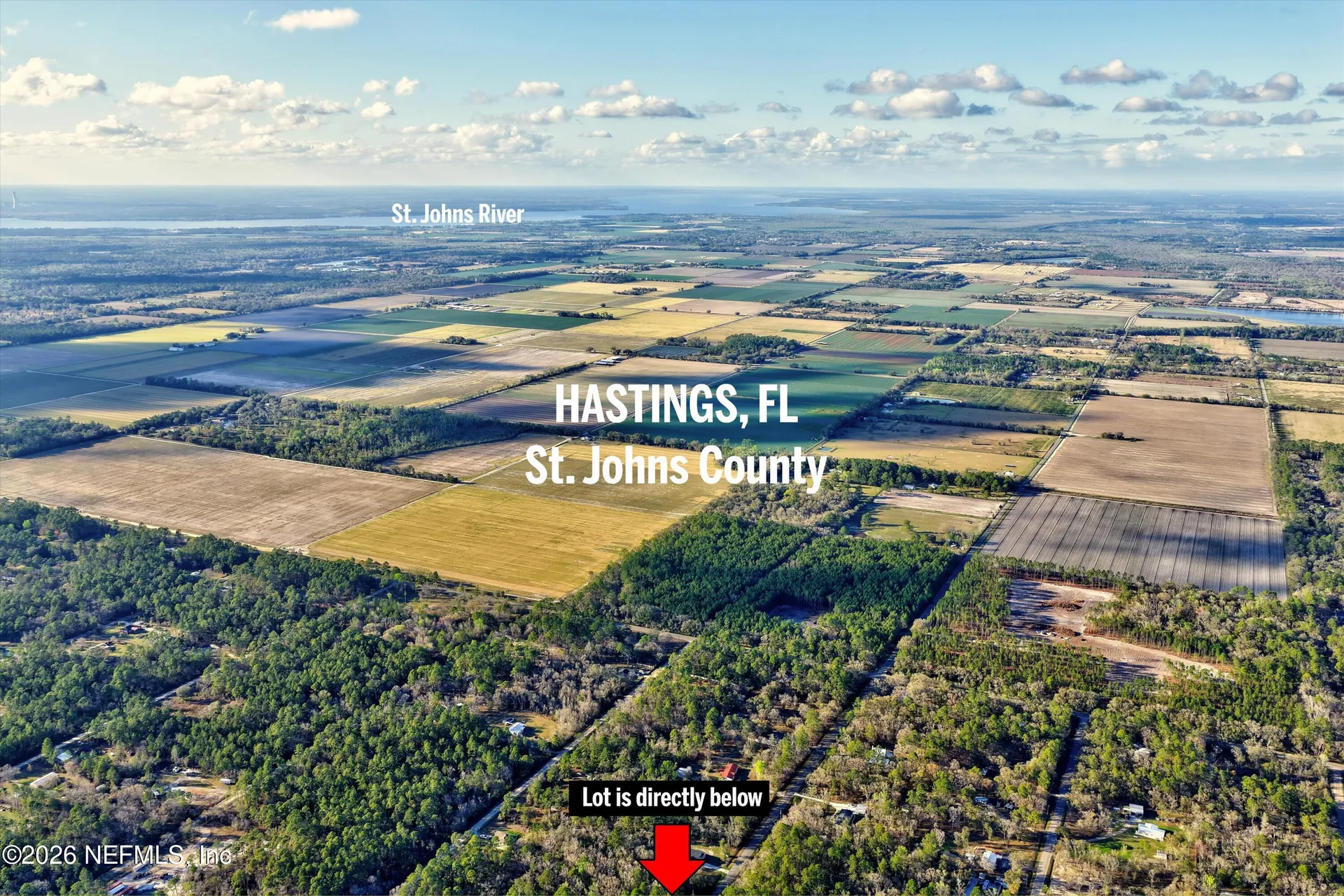 10250 Zigler Avenue Hastings FL 32145
