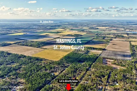 10250 Zigler Avenue Hastings FL 32145