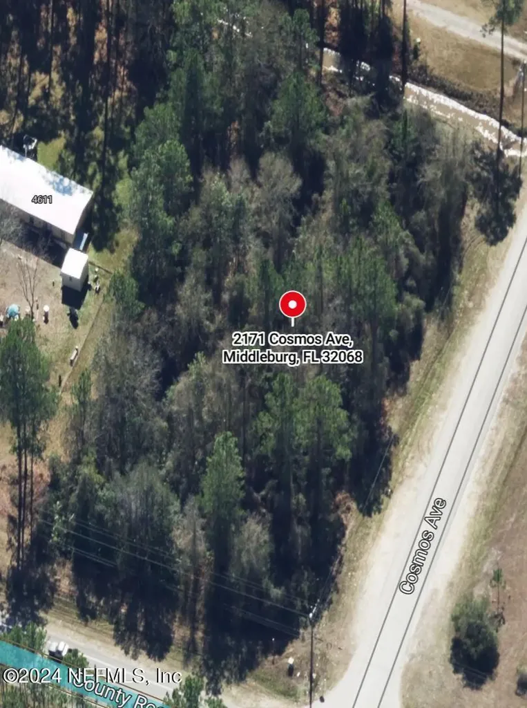 2171 Cosmos Avenue Middleburg FL 32068