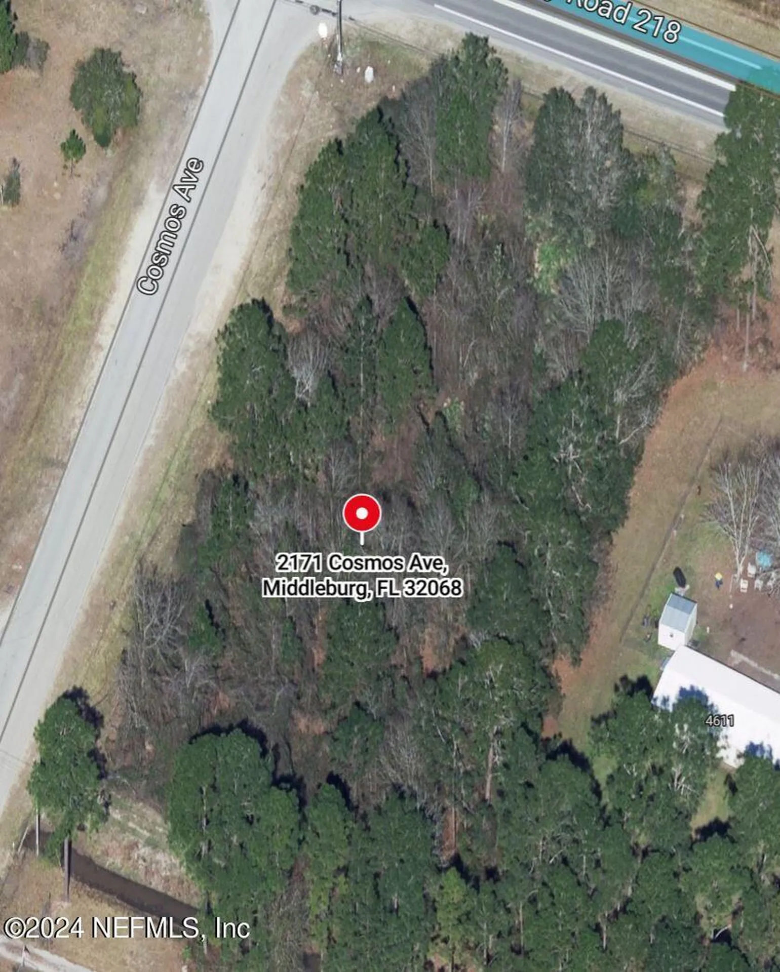 2171 Cosmos Avenue Middleburg FL 32068