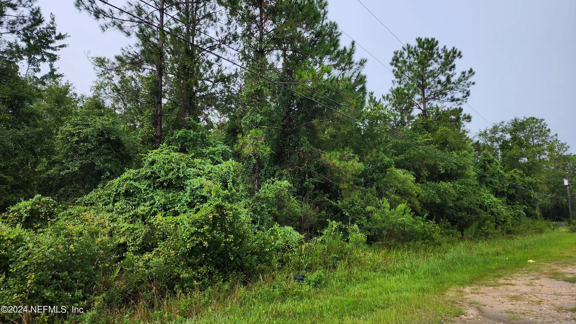 2171 Cosmos Avenue Middleburg FL 32068