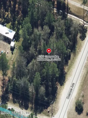 2171 Cosmos Avenue Middleburg FL 32068