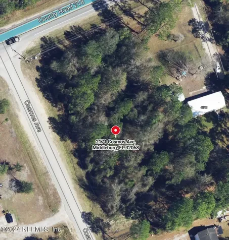 2171 Cosmos Avenue Middleburg FL 32068