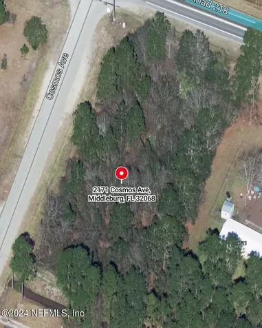 2171 Cosmos Avenue Middleburg FL 32068