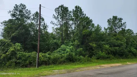 2171 Cosmos Avenue Middleburg FL 32068