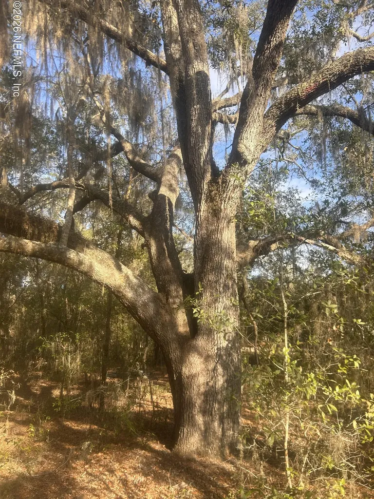 0 West Lake Drive Hawthorne FL 32640