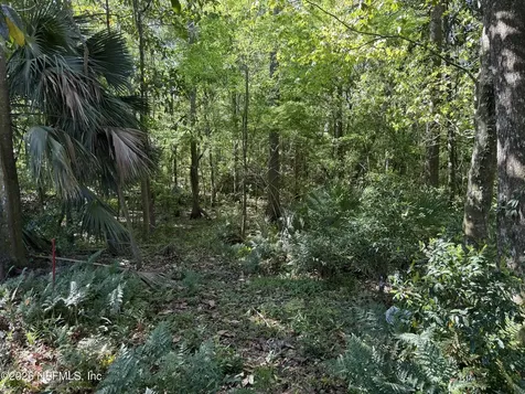 4050 Waterway Court Jacksonville FL 32223