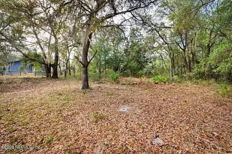 53 Lion Street Middleburg FL 32068