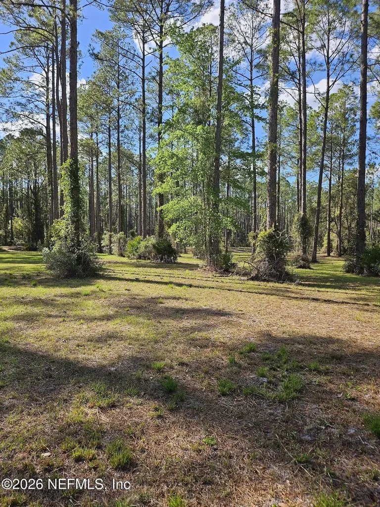 10149 Kings Crossing Drive Jacksonville FL 32219