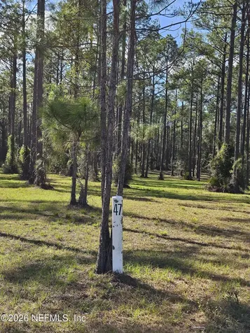 10149 Kings Crossing Drive Jacksonville FL 32219