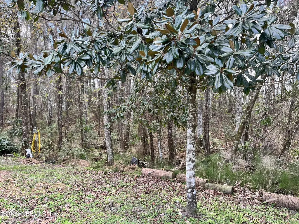 5608 W County Road 240 Lake Butler FL 32054