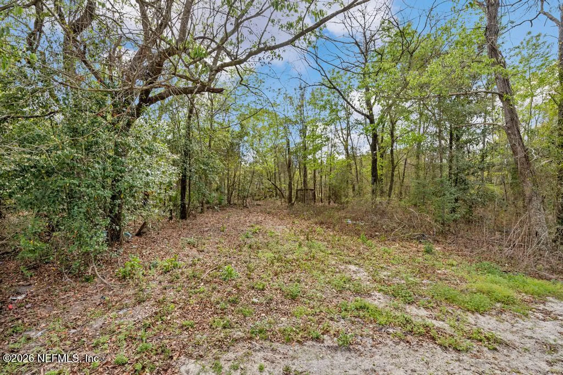2004 Blue Knoll Road Middleburg FL 32068