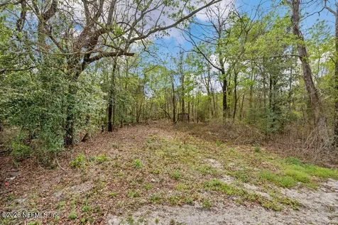 2004 Blue Knoll Road Middleburg FL 32068
