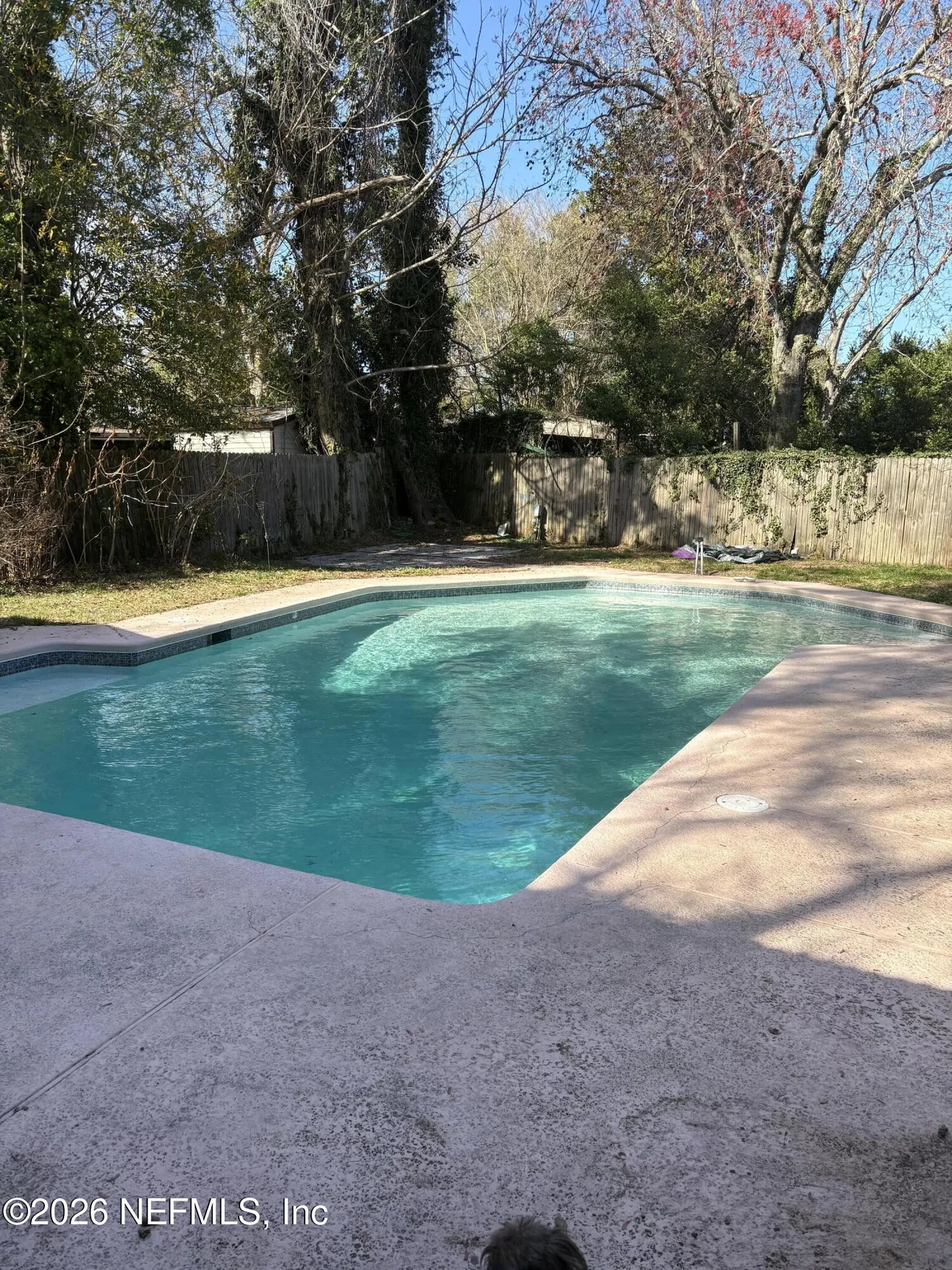 1154 Hickory Cove Jacksonville FL 32221