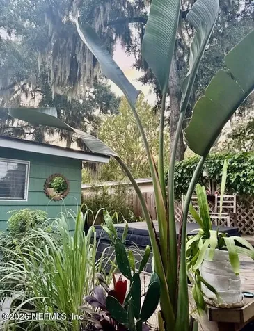 804 N Cypress Avenue Green Cove Springs FL 32043