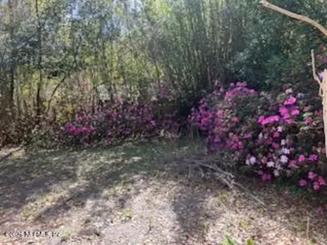 678 Ivy Street Jacksonville FL 32206