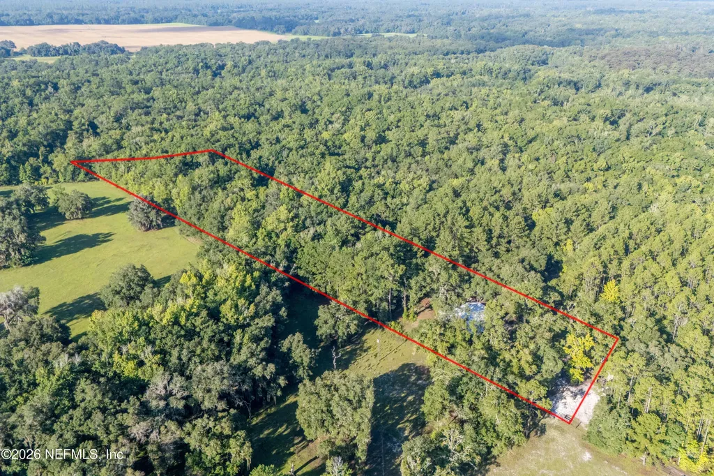 11309 SW 167th Circle Brooker FL 32622