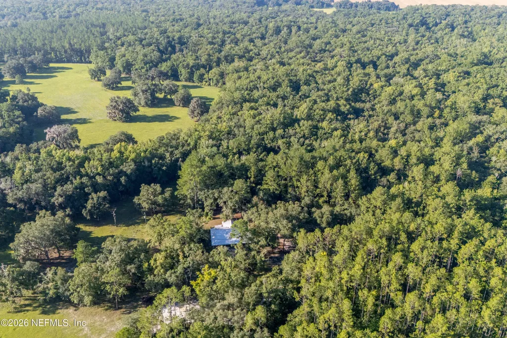 11309 SW 167th Circle Brooker FL 32622