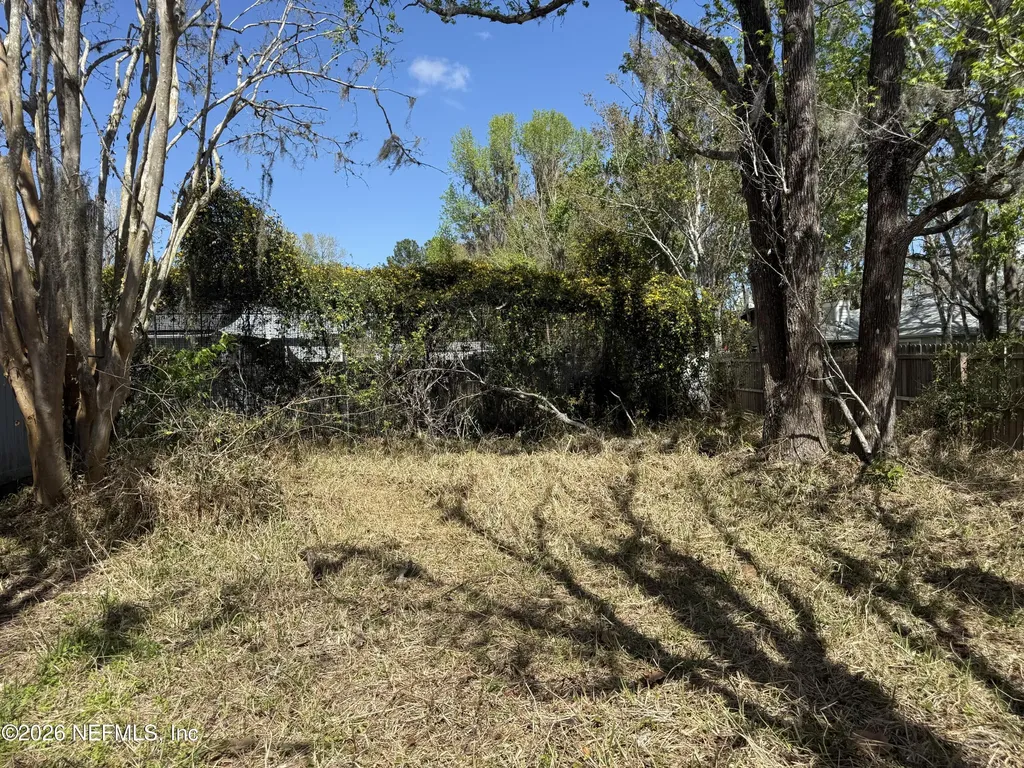 2237 Alderney Court Middleburg FL 32068