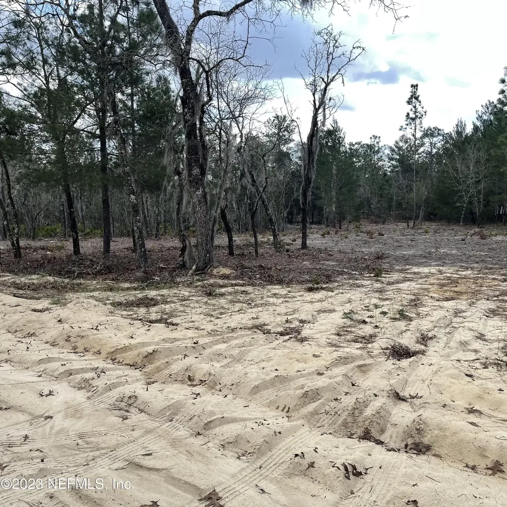205 London Avenue Interlachen FL 32148